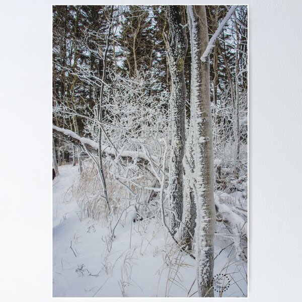 Item preview, Winter Woods, Lake Superior, MN 2 designed and sold by Arielle S.