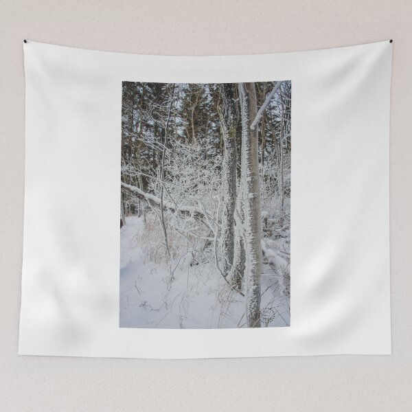 Item preview, Winter Woods, Lake Superior, MN 2 designed and sold by Arielle S.