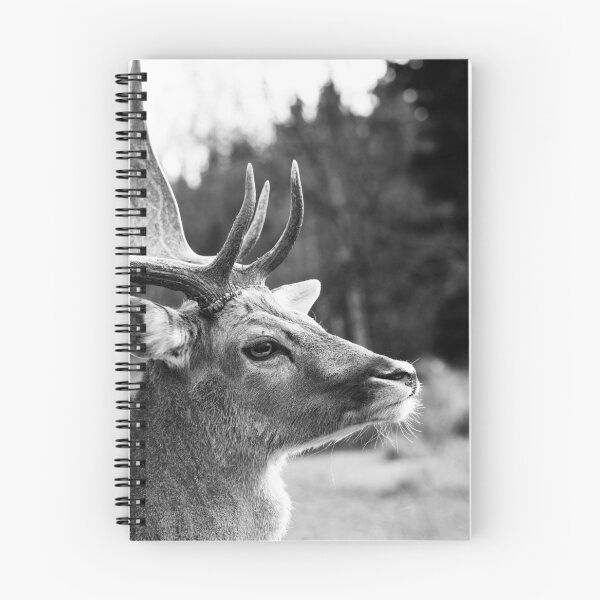 Item preview, Stag in the Mountain Forest #2 #wall #art  designed and sold by Anita's & Bella's Art.