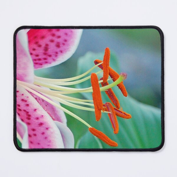 Item preview, Star designed and sold by ArkansasLisa.