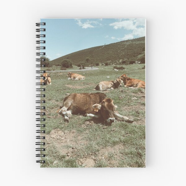 Item preview, Asturian cow designed and sold by naiiiraa.