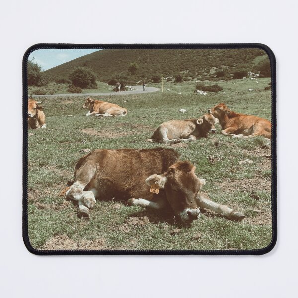 Item preview, Asturian cow designed and sold by naiiiraa.