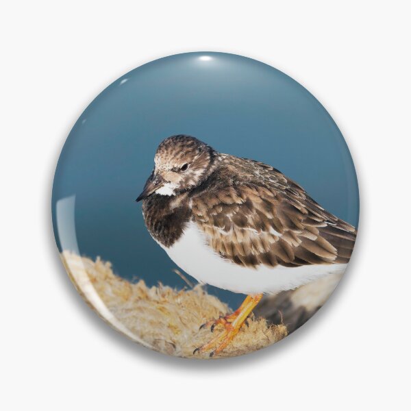 Item preview, Turnstone at the Harbour designed and sold by Dorset Girl.