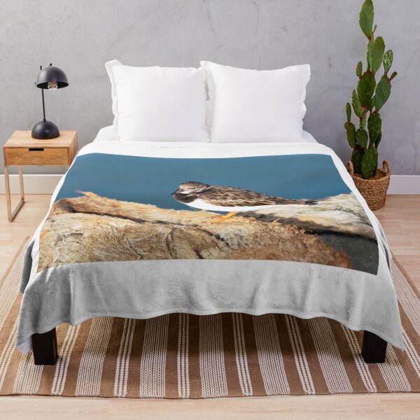 Item preview, Turnstone at the Harbour designed and sold by Dorset Girl.