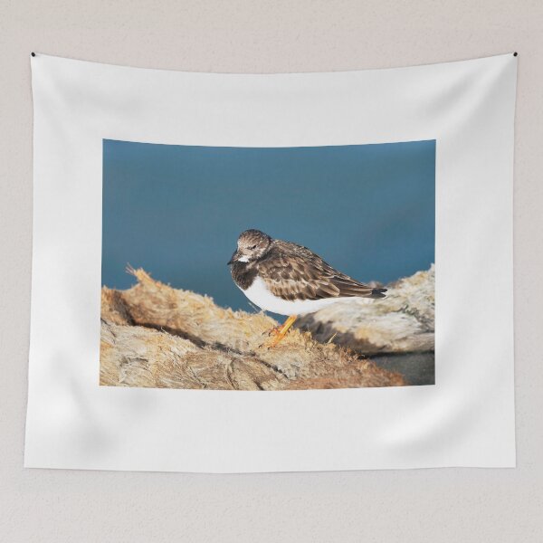 Item preview, Turnstone at the Harbour designed and sold by Dorset Girl.