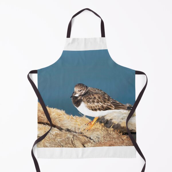 Item preview, Turnstone at the Harbour designed and sold by Dorset Girl.