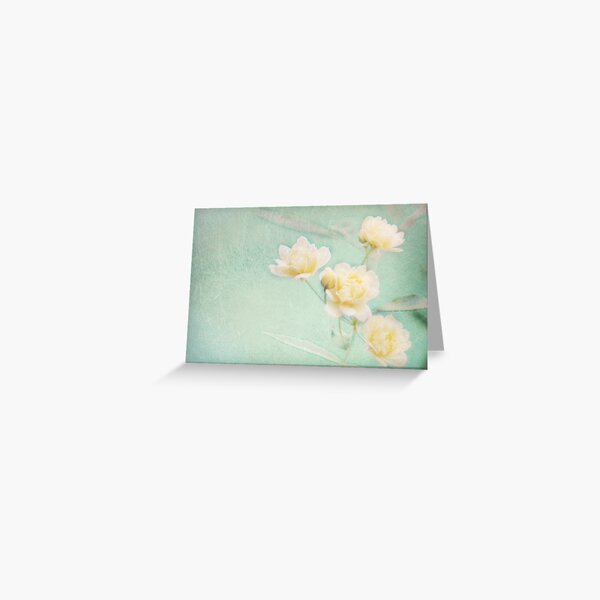 Popcorn Roses II Greeting Card