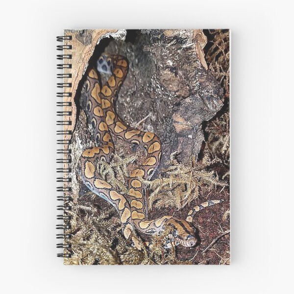 Item preview, BRAZILIAN RAINBOW ROCK BOA designed and sold by BOLLA67.
