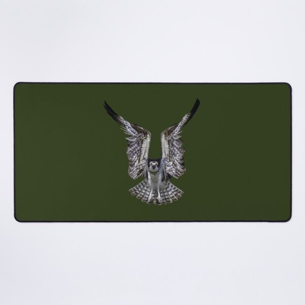 Item preview, Osprey in Flight designed and sold by JillLind47.