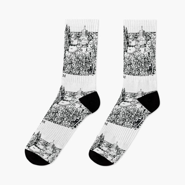 Item preview, Salem - Oregon designed and sold by Lakeric Cityscapes.