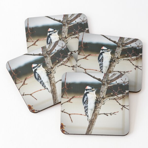 Item preview, Downy Woodpecker With a Tight Grip designed and sold by Debra Martz.