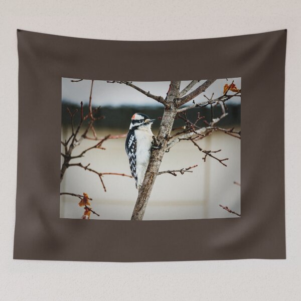 Item preview, Downy Woodpecker With a Tight Grip designed and sold by Debra Martz.