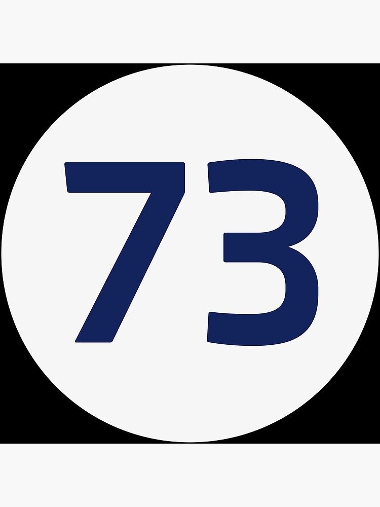 "73 The Best Number Big Bang Numbers Puzzle Theory" Poster by HelenStorm Redbubble