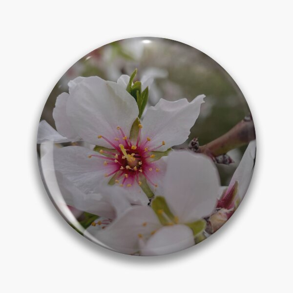 Item preview, Prunus subhirtella designed and sold by naiiiraa.