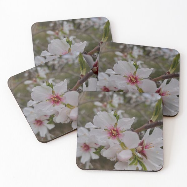 Item preview, Prunus subhirtella designed and sold by naiiiraa.