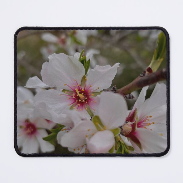 Item preview, Prunus subhirtella designed and sold by naiiiraa.