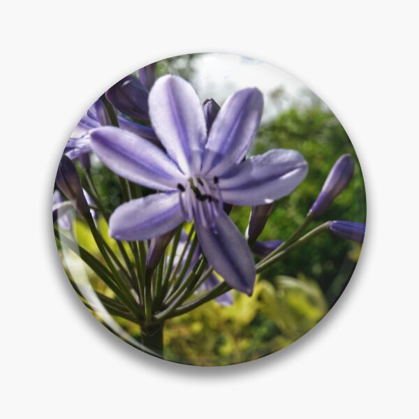 Item preview, Starflower designed and sold by jalfc46.
