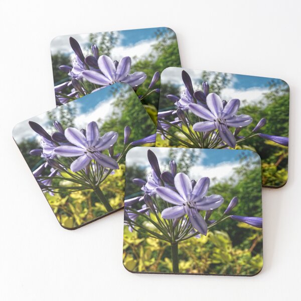 Item preview, Starflower designed and sold by jalfc46.