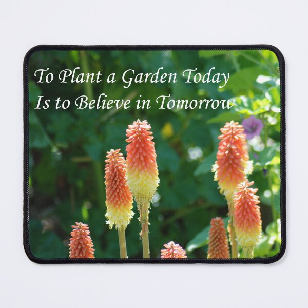 Item preview, Believe  designed and sold by ArkansasLisa.