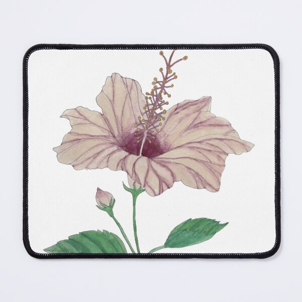 Item preview, Single pink hibiscus flower in watercolour. designed and sold by esvb.