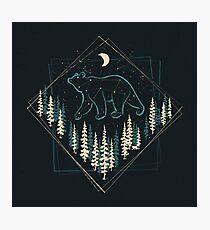 The Heaven's Wild Bear Photographic Print