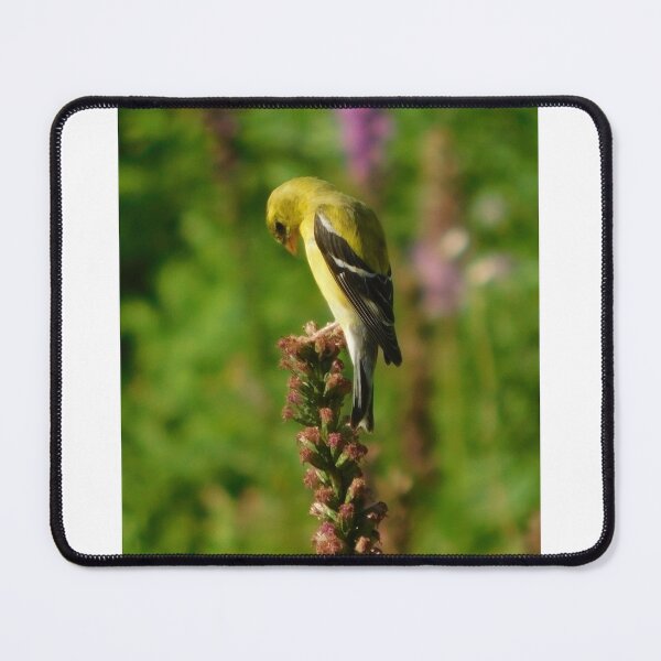 Item preview, Bird in prayer designed and sold by Skip Frye Jr..