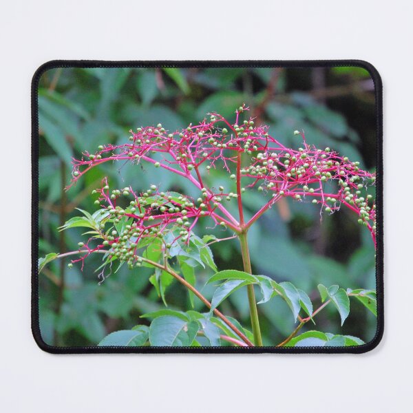 Item preview, Berry Wild designed and sold by ArkansasLisa.