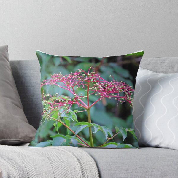 Item preview, Berry Wild designed and sold by ArkansasLisa.