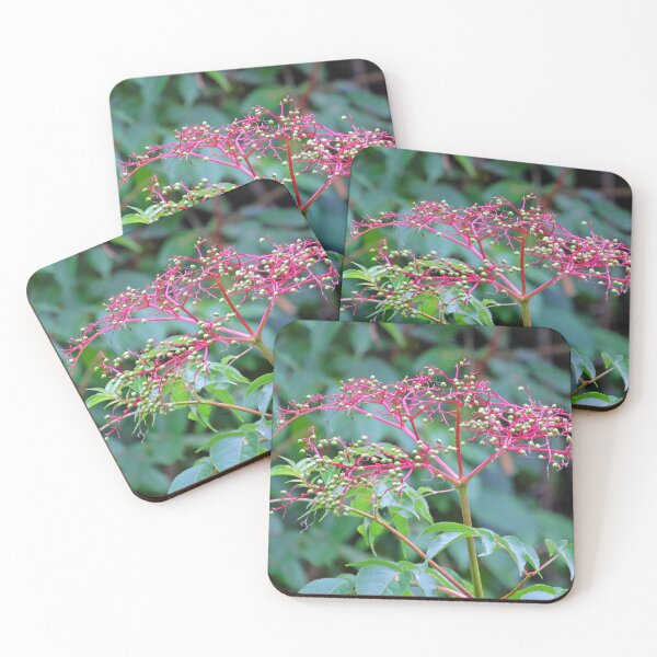 Item preview, Berry Wild designed and sold by ArkansasLisa.