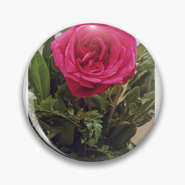 Item preview, real rose plant image with rose letters designed and sold by Bubududu1234.