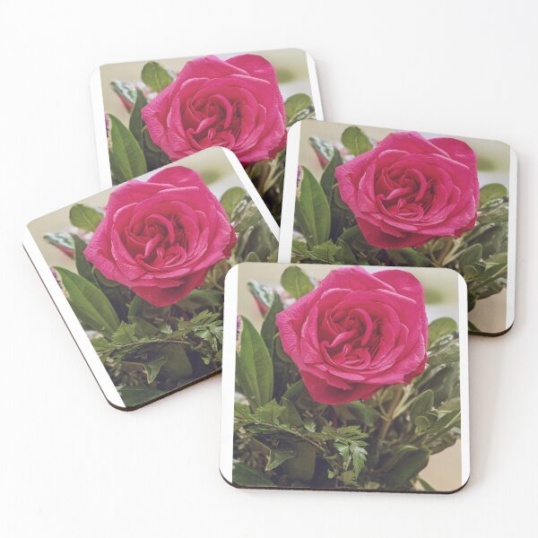 Item preview, real rose plant image with rose letters designed and sold by Bubududu1234.