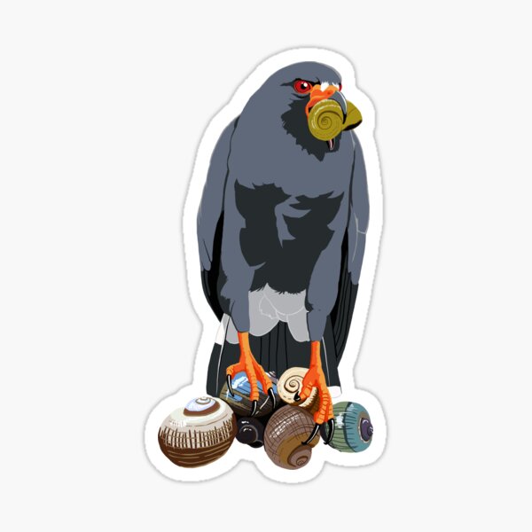 Snail Kite Sticker