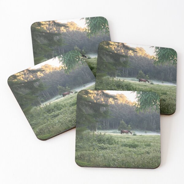 Item preview, Horse and morning mist, Trentham designed and sold by Roz McQuillan Fine Art & Photography.