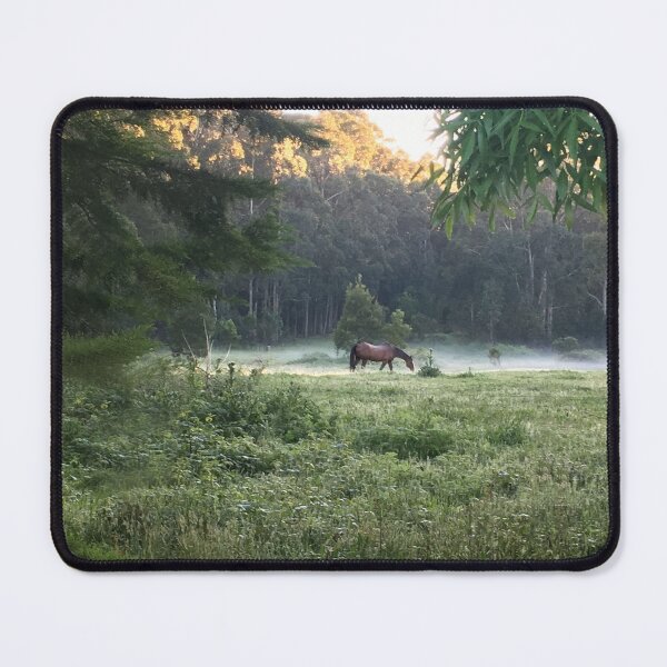 Item preview, Horse and morning mist, Trentham designed and sold by Roz McQuillan Fine Art & Photography.