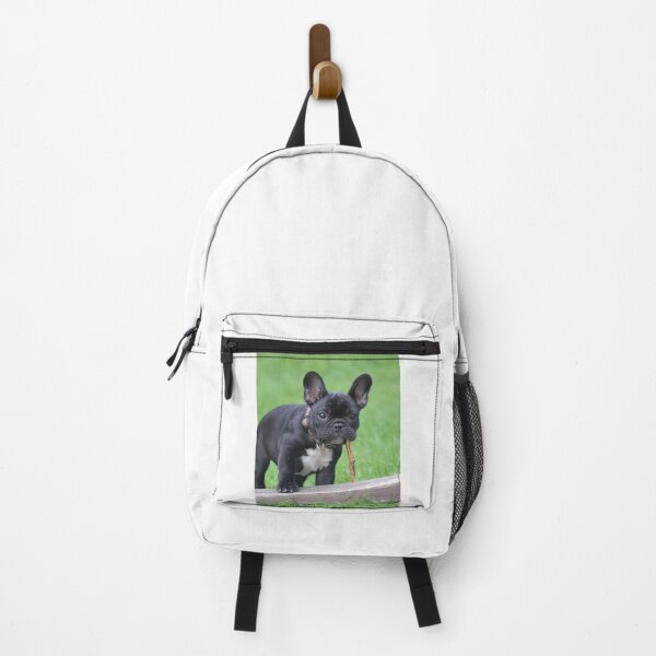 Item preview, Black French Bulldog Puppy designed and sold by VanGaldo.
