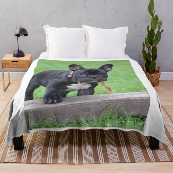 Item preview, Black French Bulldog Puppy designed and sold by VanGaldo.
