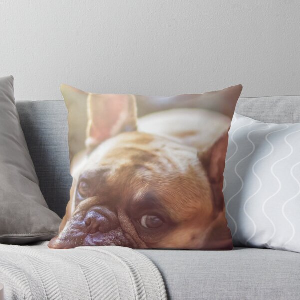 Item preview, Relaxing Cute French Bulldog designed and sold by VanGaldo.