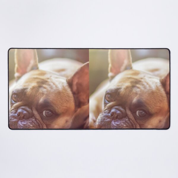 Item preview, Relaxing Cute French Bulldog designed and sold by VanGaldo.