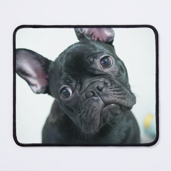 Item preview, Tilting Cute Black French Bulldog designed and sold by VanGaldo.