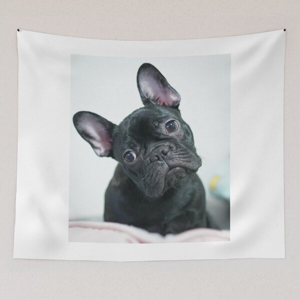 Item preview, Tilting Cute Black French Bulldog designed and sold by VanGaldo.