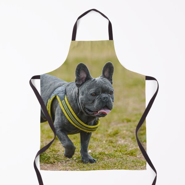 Item preview, Black French Bulldog with Yellow Collar designed and sold by VanGaldo.