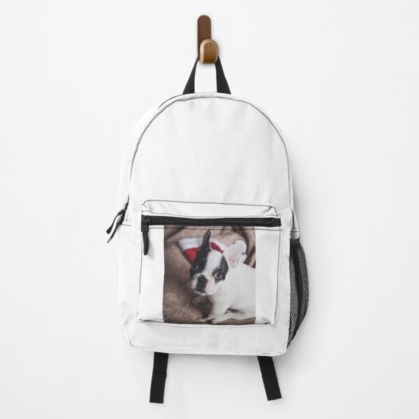Item preview, French Bulldog Puppy is Surprise designed and sold by VanGaldo.