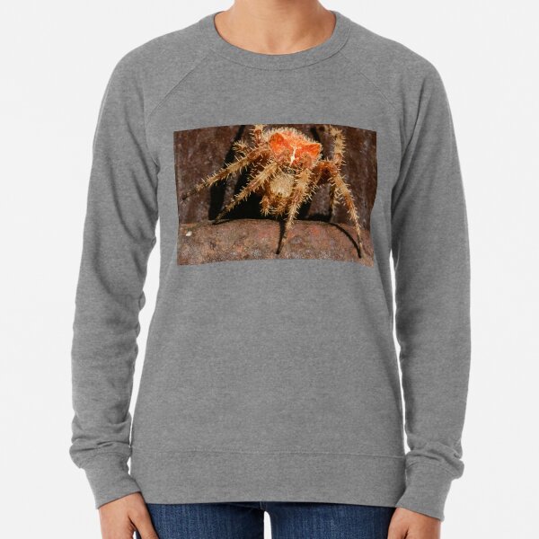 Cat Faced Sweatshirts Hoodies Redbubble