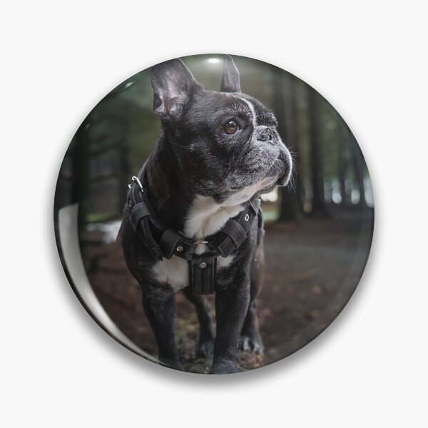 Item preview, French Bulldog Walking in the Woods designed and sold by VanGaldo.