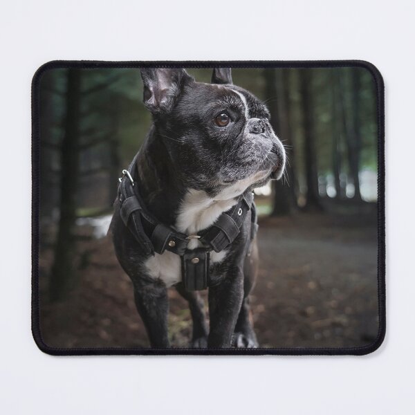 Item preview, French Bulldog Walking in the Woods designed and sold by VanGaldo.