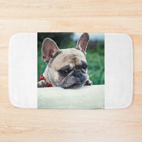 Item preview, Curious French Bulldog designed and sold by VanGaldo.