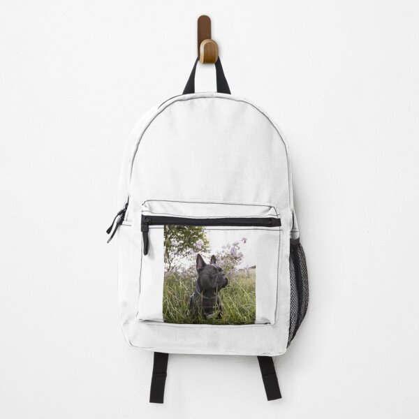 Item preview, Wandering French Bulldog designed and sold by VanGaldo.