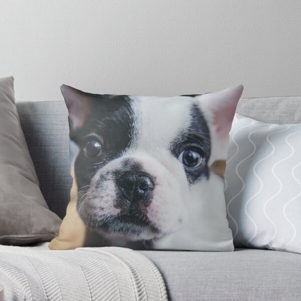 Item preview, Innocent French Bulldog Puppy designed and sold by VanGaldo.