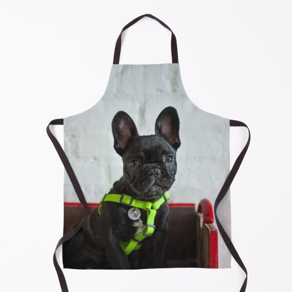 Item preview, French Bulldog Puppy Nice Green Collar designed and sold by VanGaldo.