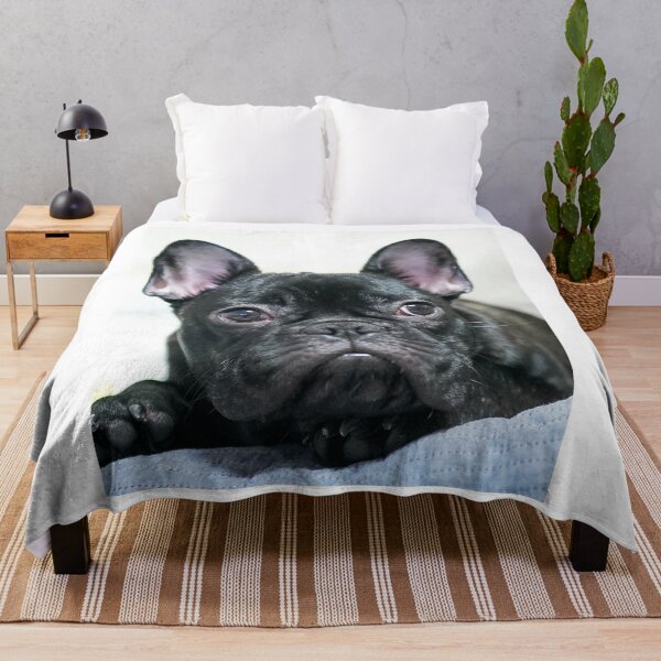 Item preview, Portrait of French Bulldog designed and sold by VanGaldo.